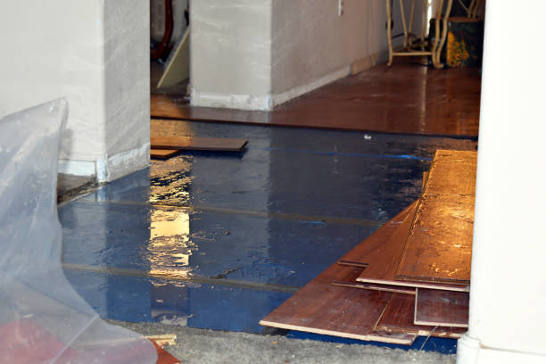 Professional Burst Pipe Cleanup technician working in Grandy, MN