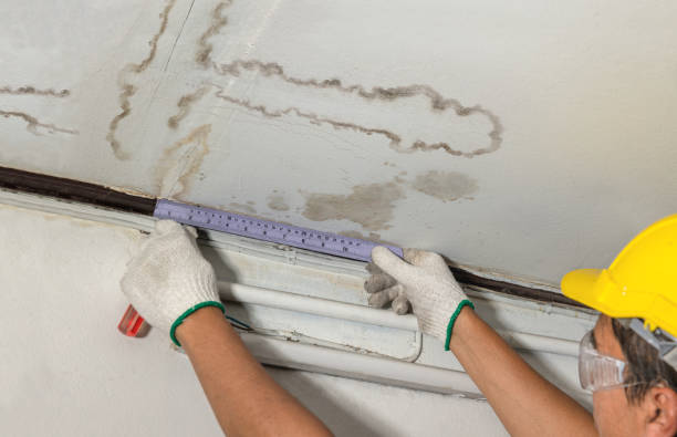 Reliable Burst Pipe Cleanup contractor in Grandy, MN by Water Damage Irwin